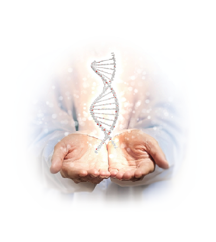 DNA in hands